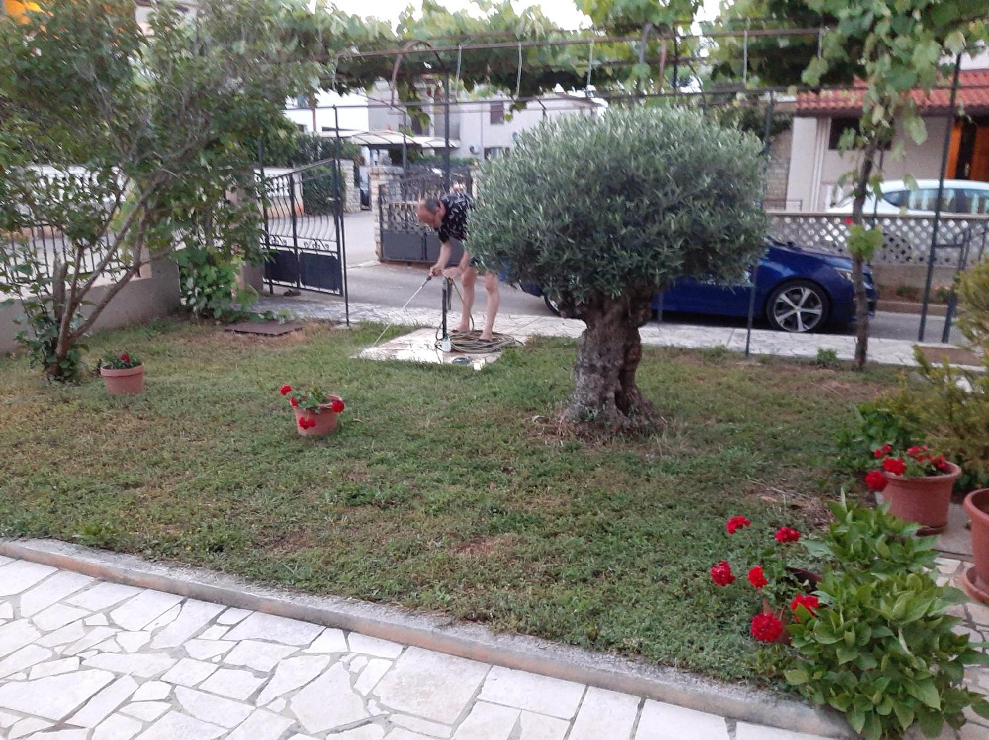 Apartment Stefania Rovinj Szoba fotó